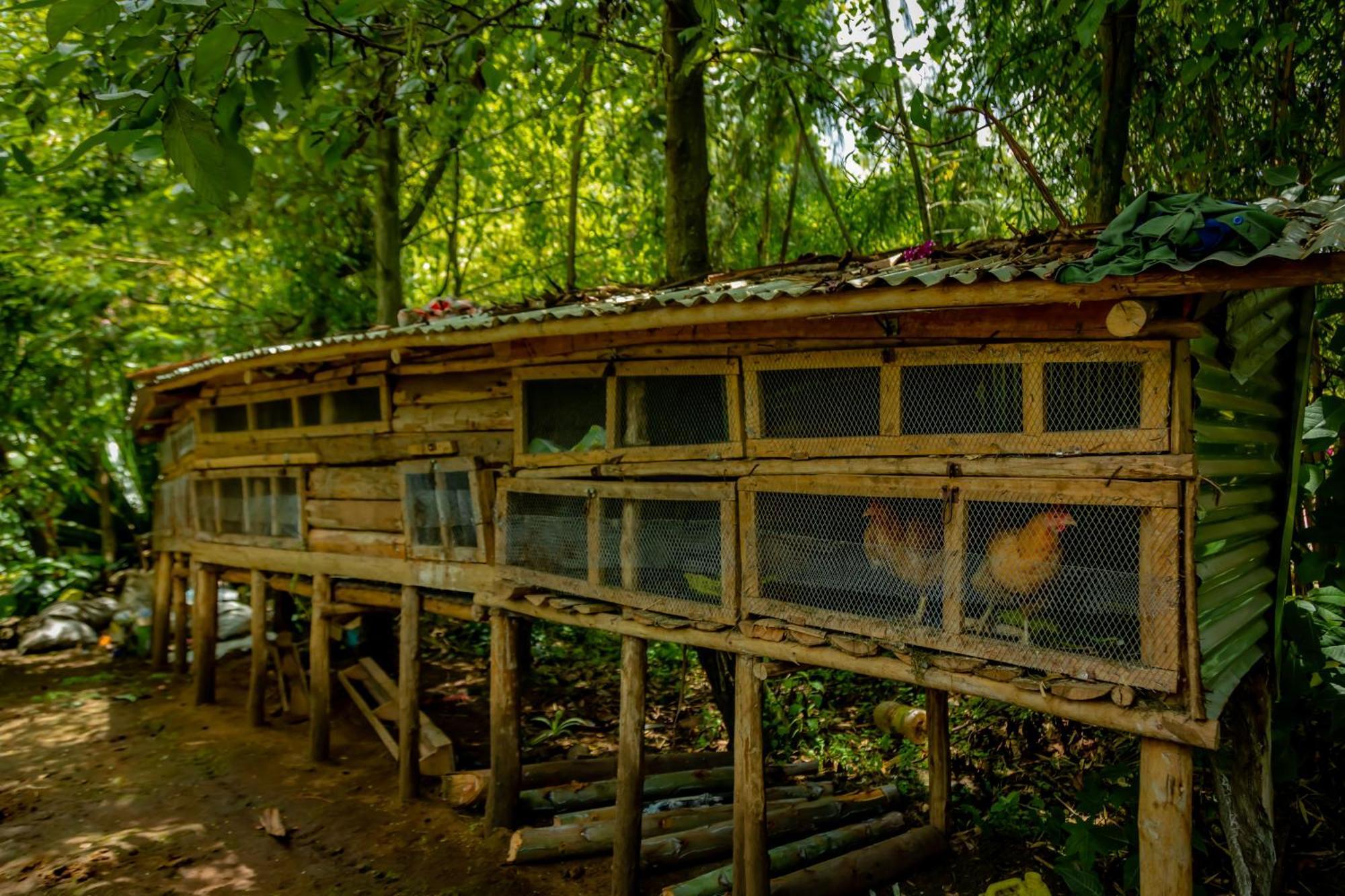 Fravan Eco Resort By Apogee 루헹게리 외부 사진